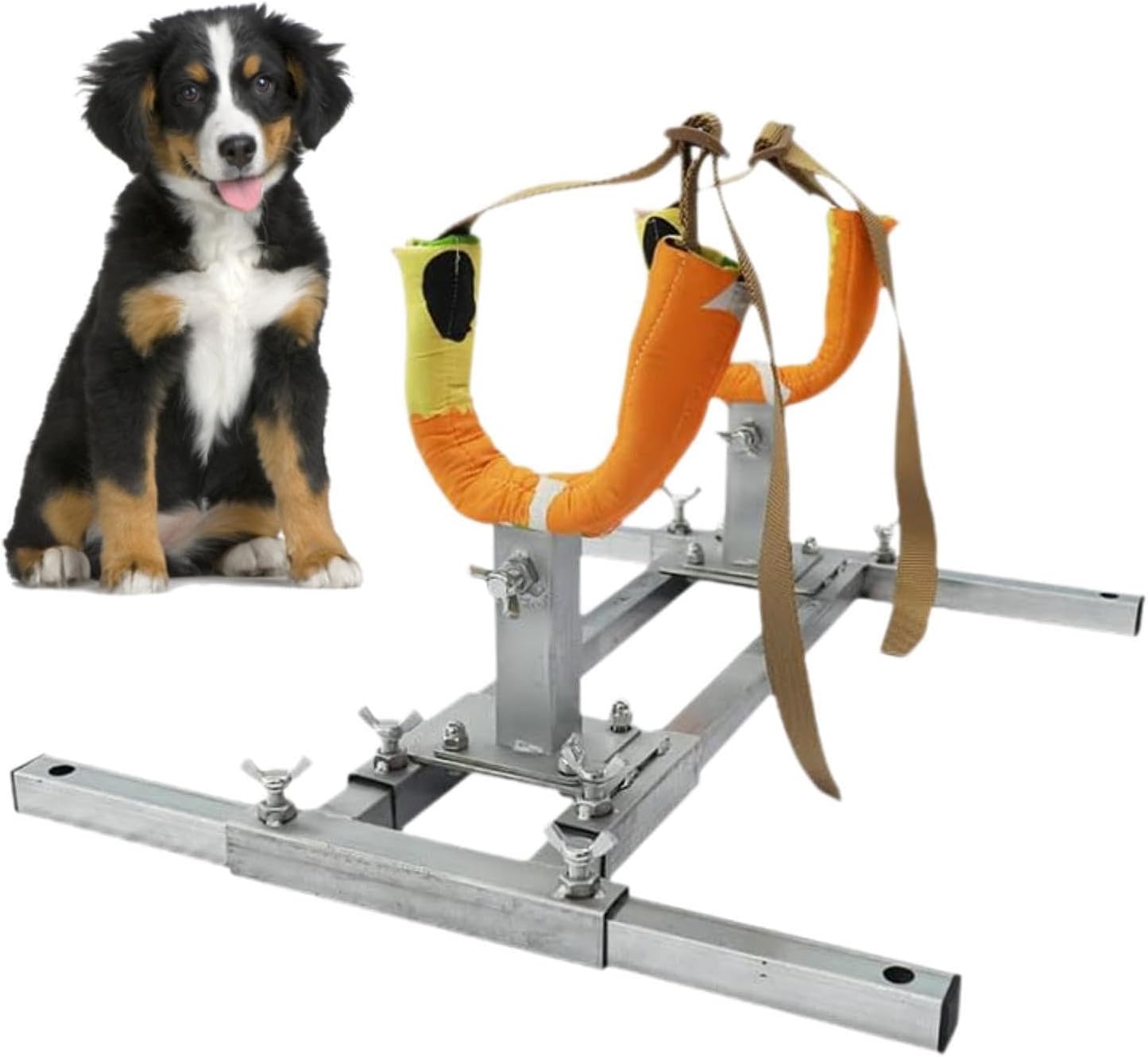 Dog Breeding Stand Pet Fixed Bracket