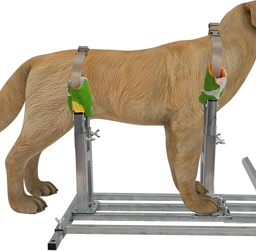 Dog Breeding Stand Pet Fixed Bracket